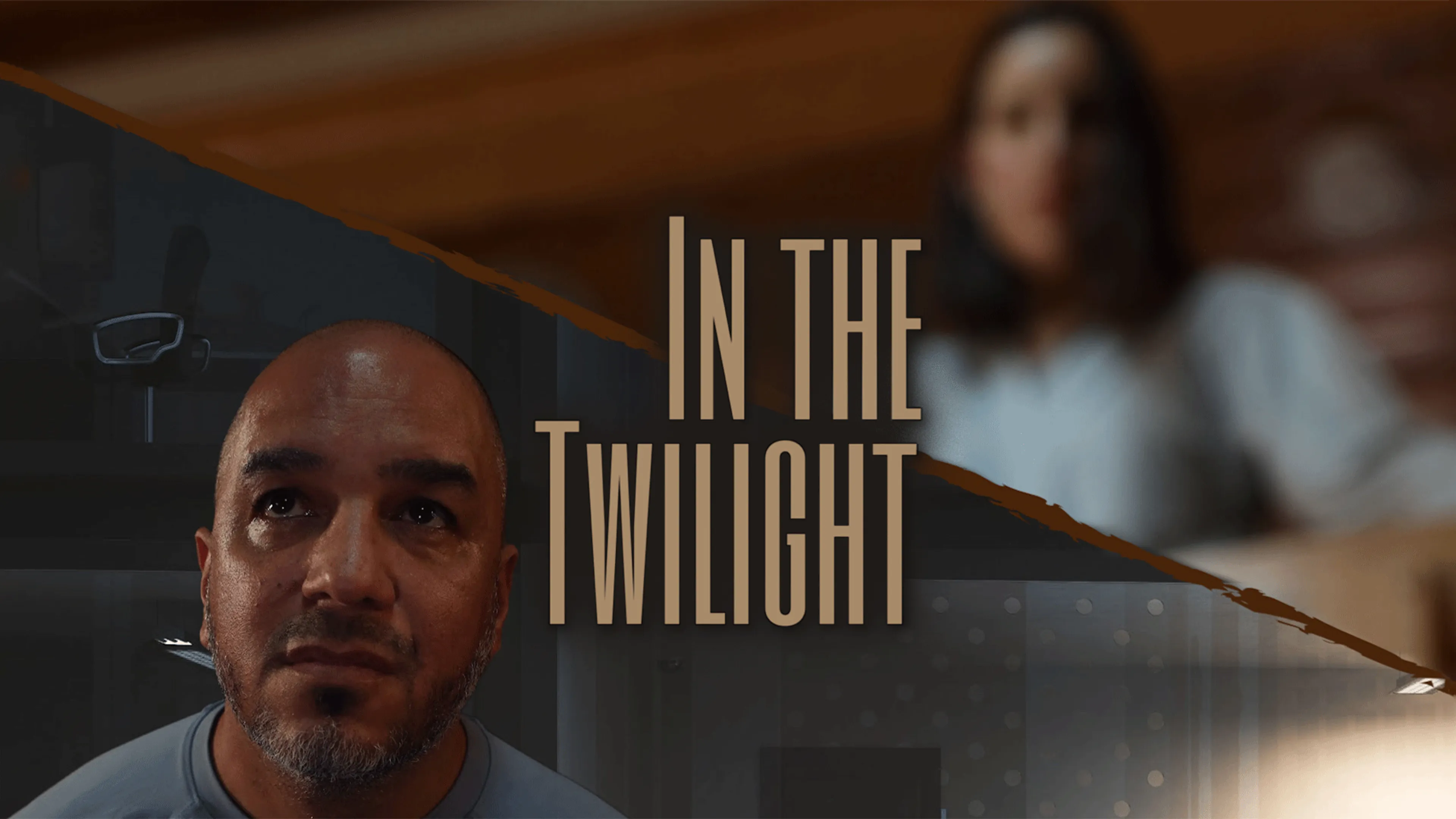 In the Twilight poster